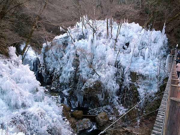 尾ノ内百景氷柱